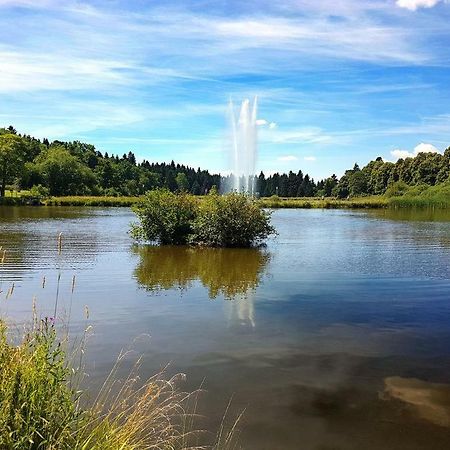 Ferienappartement Balbiani Hahnenklee-Harz กอสลาร์ ภายนอก รูปภาพ
