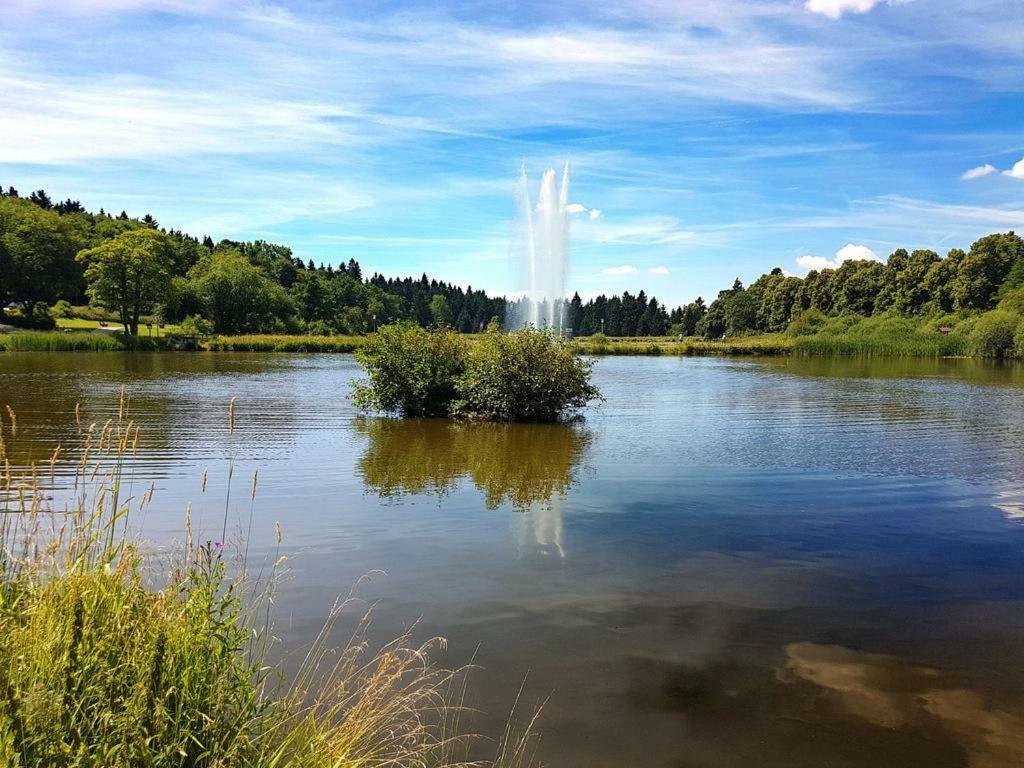Ferienappartement Balbiani Hahnenklee-Harz กอสลาร์ ภายนอก รูปภาพ